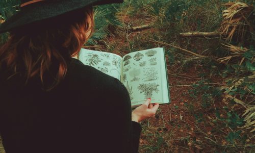sarah-brown-8uk33AyGB10-unsplash sarah-brown-8uk33AyGB10-unsplash